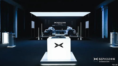 无框车门与电动尾翼 国货SUV如何以科技与性能重塑豪华运动标杆